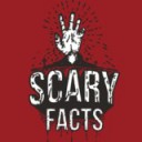 @scary_facts11